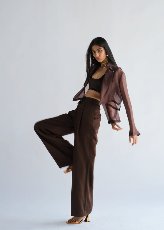 Espresso Organza Shirt & Pants