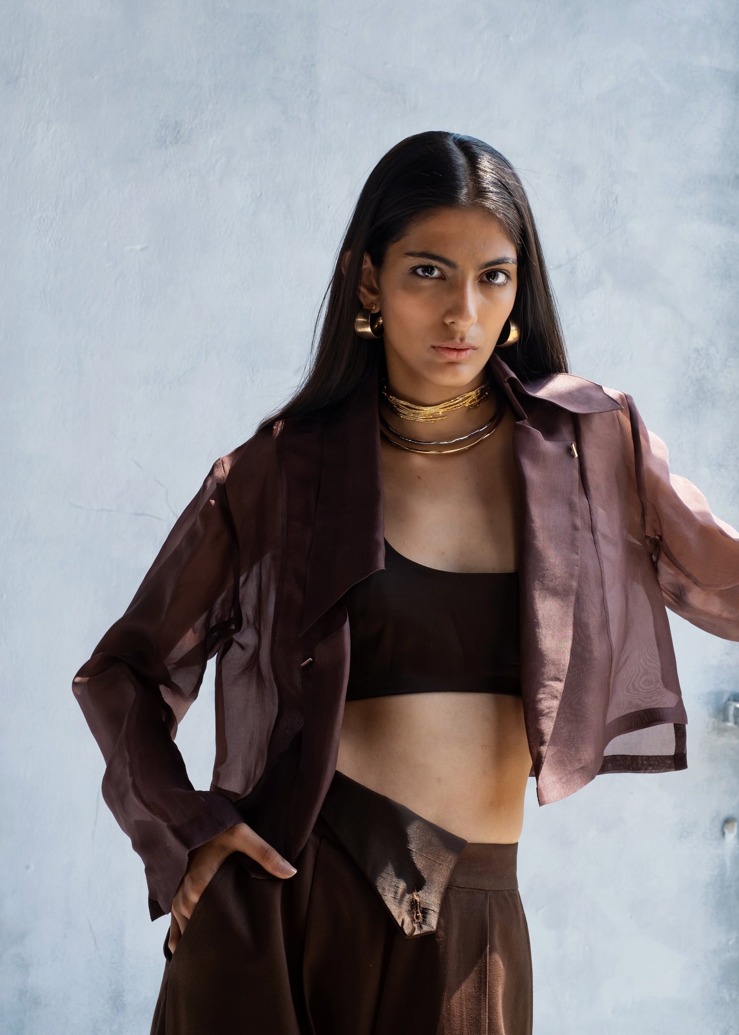 Espresso Organza Shirt & Pants