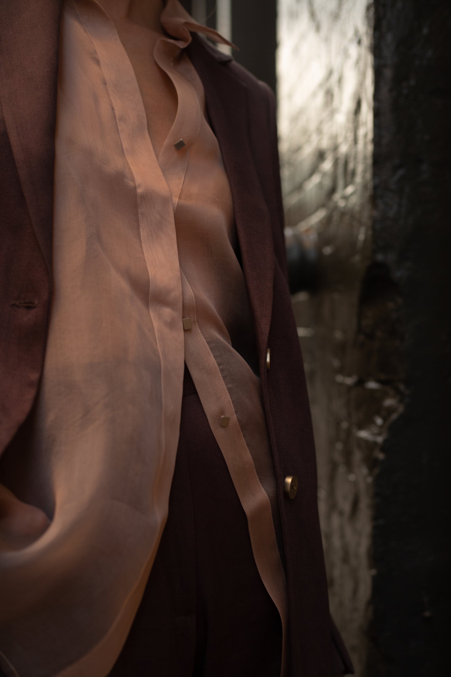 Morel Pantsuit & Sheer Shirt