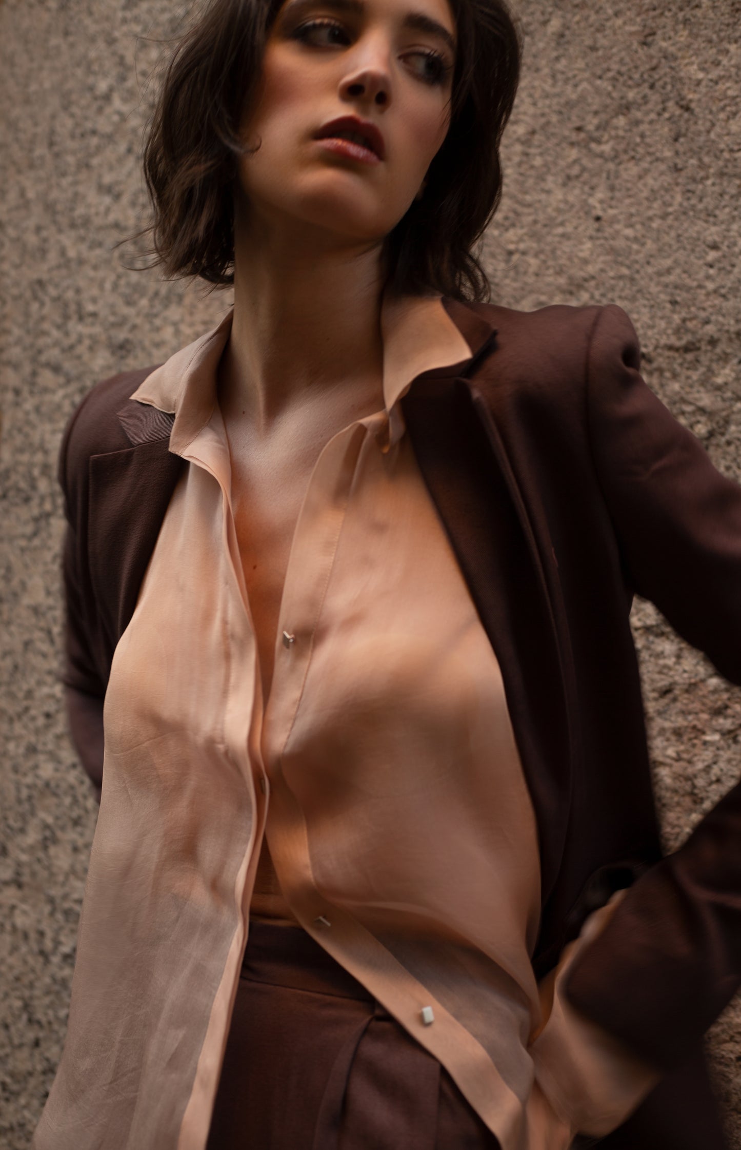 Morel Pantsuit & Sheer Shirt