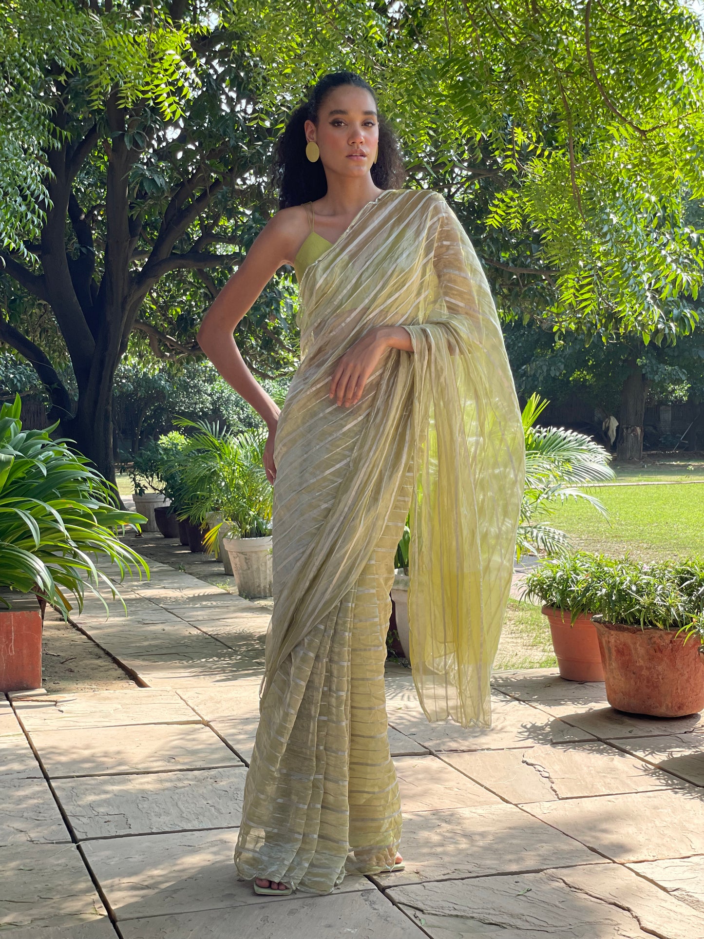 Lime Tissue Saree