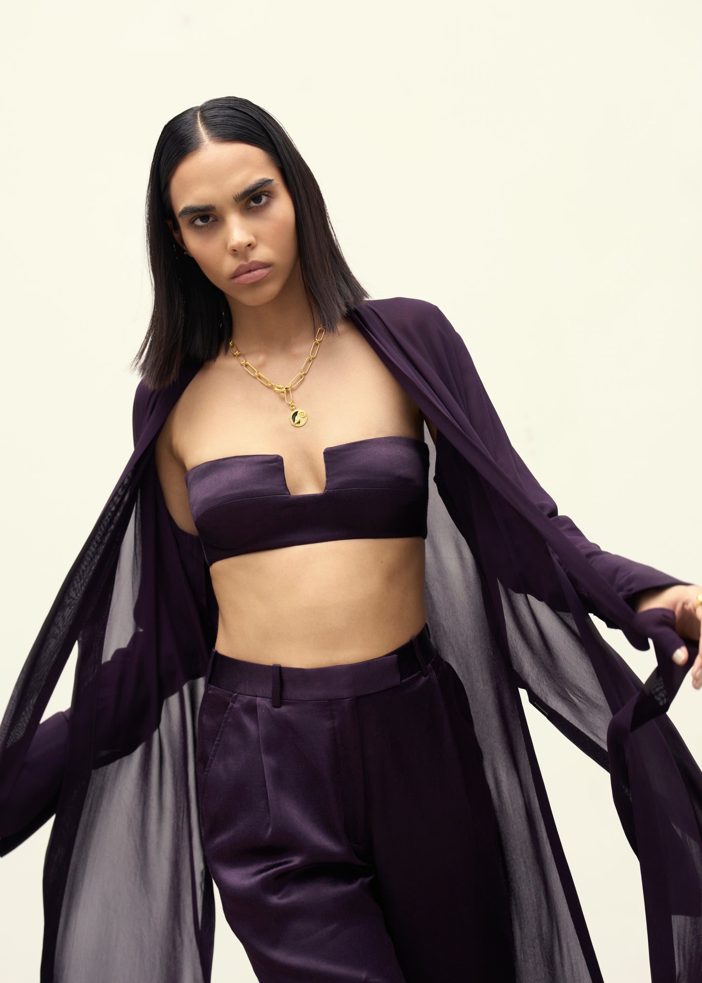 Aubergine Gleam Georgette Top & Pants