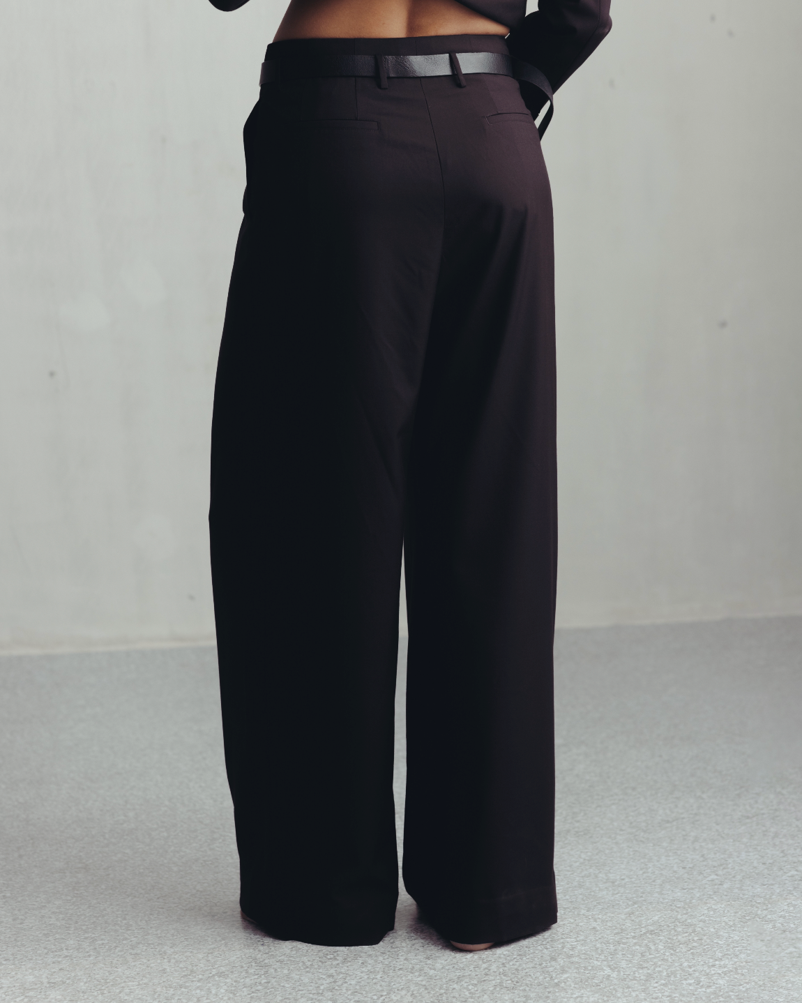 Seal Brown Waist Pleated Trousers