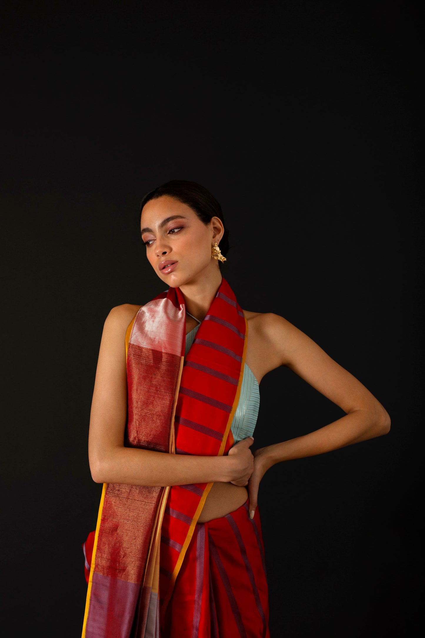 Red Maple Colorblock Sari